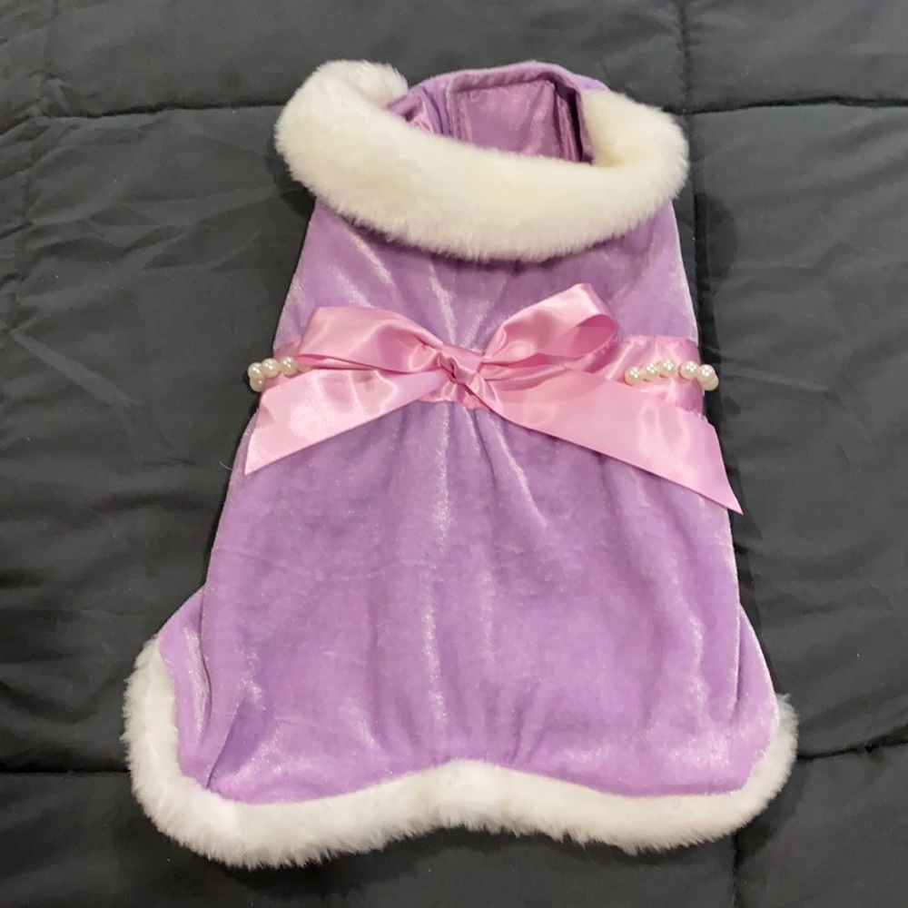 Disney Pets Collared Princess Outfit